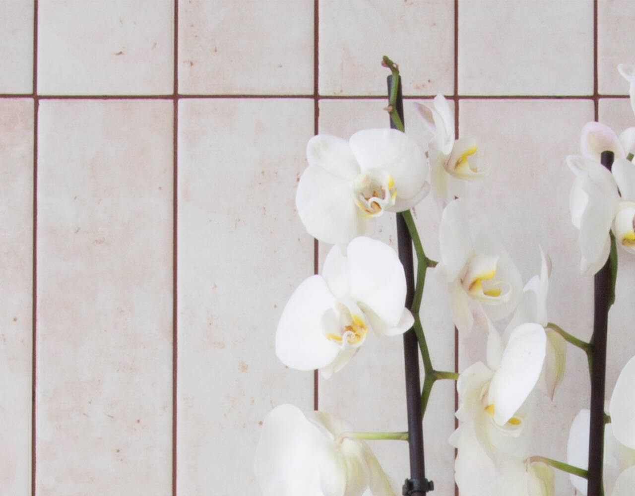 floor and decor near me 10005