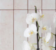 floor and decor near me 10005