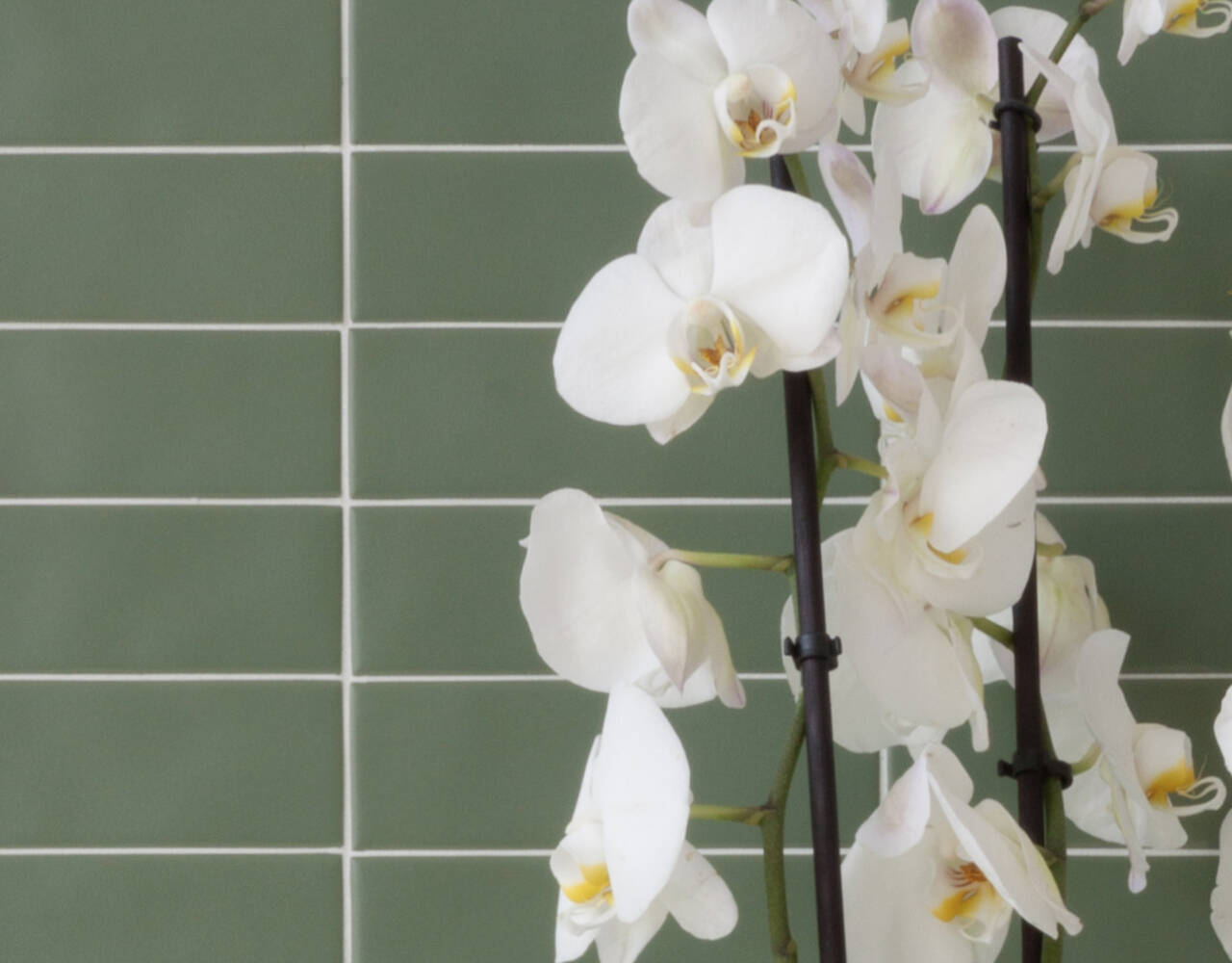 midwest tile and interiors