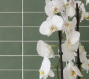 midwest tile and interiors