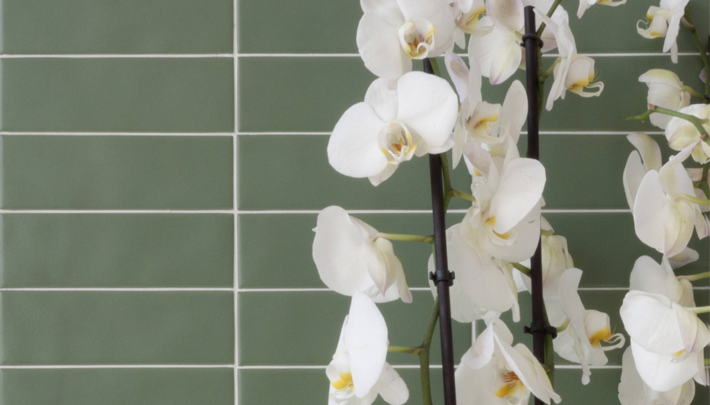 midwest tile and interiors