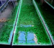 art deco ceramic tile