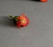 pastel colored wall tile