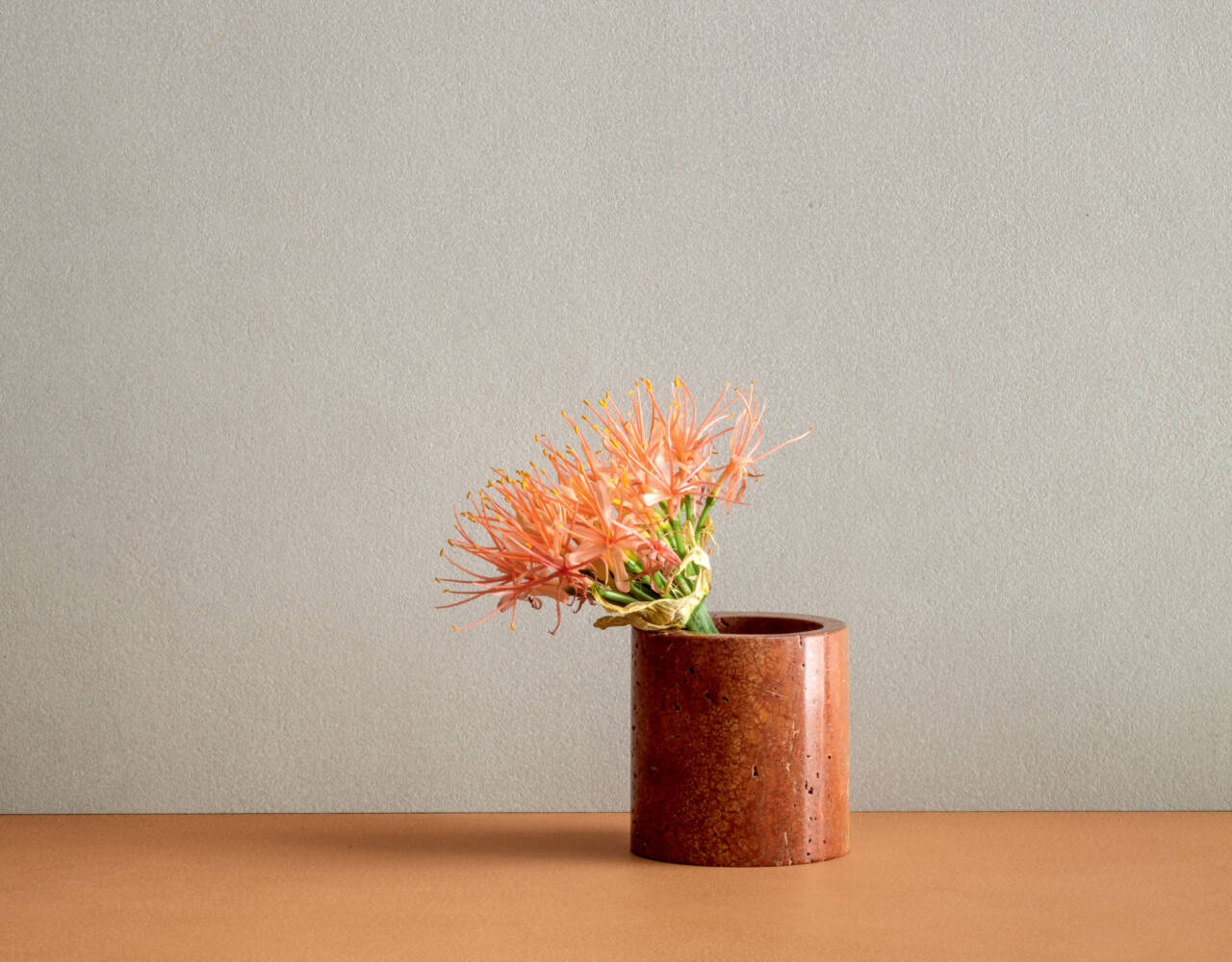 pastel colored wall tile