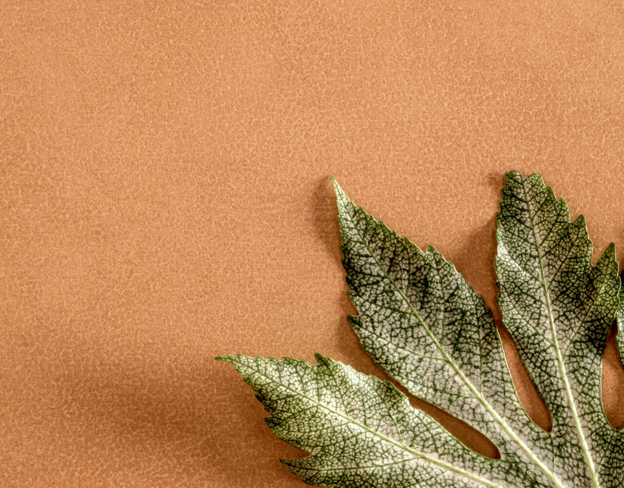 pastel colored wall tile